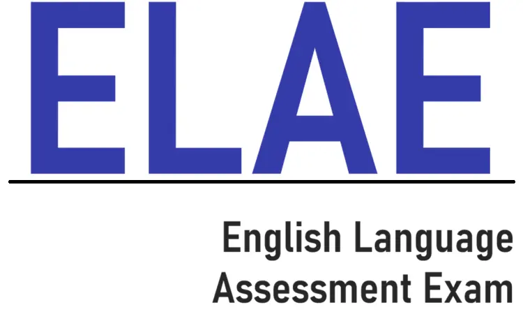 Sabancı Üniversitesi Hazırlık Atlama Kursu ELAE Sınavı Online Eğitim